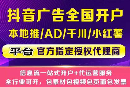 SEM公司案例研究：数据驱动营销策略