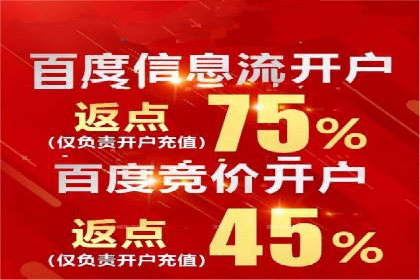 百度竞价赚钱攻略：实战案例分享