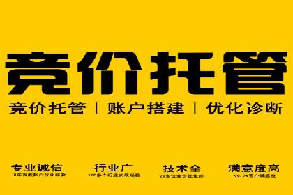 行业标杆：SEM推广代运营成功案例